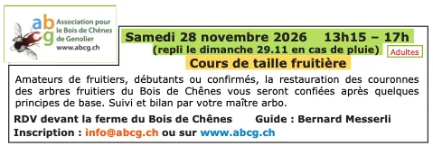 Prochains cours de taille