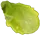 leaf4